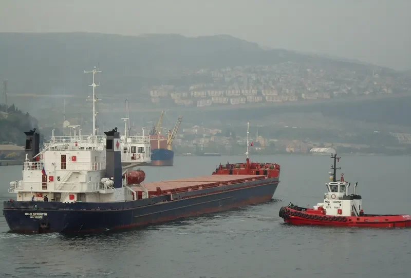 PROLETARSK General Cargo IMO 7801910 photo 4