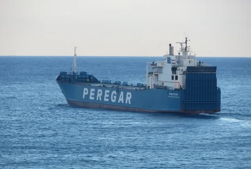 FESTIVO Ro-Ro IMO 7802067