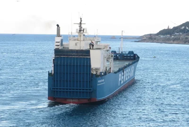 FESTIVO Ro-Ro IMO 7802067 photo 2
