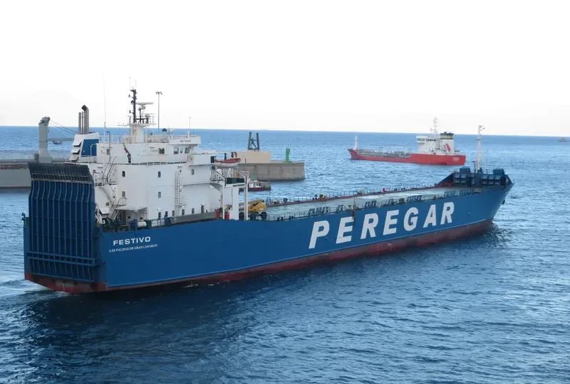 FESTIVO Ro-Ro IMO 7802067 photo 3