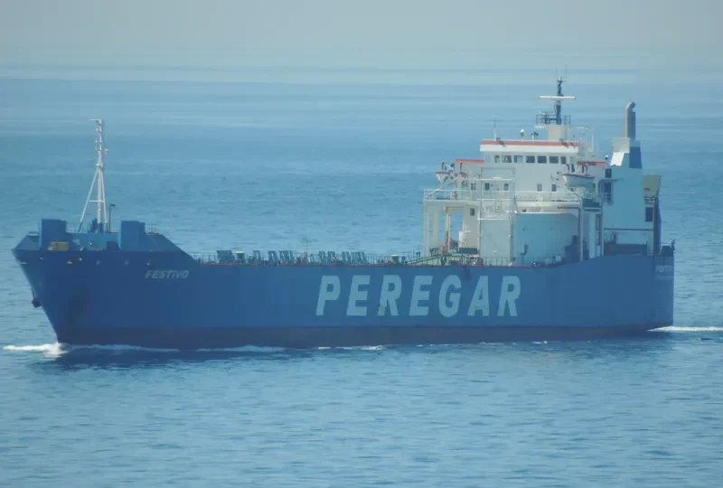 FESTIVO Ro-Ro IMO 7802067 photo 4