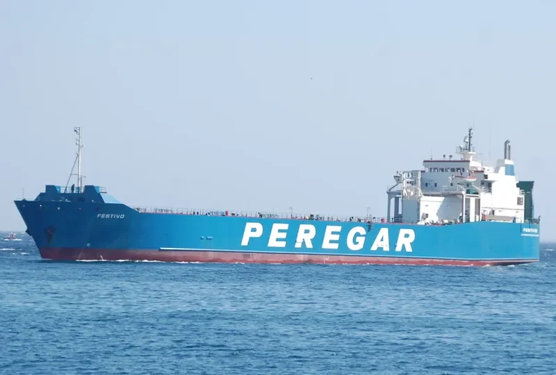 FESTIVO Ro-Ro IMO 7802067 photo 6