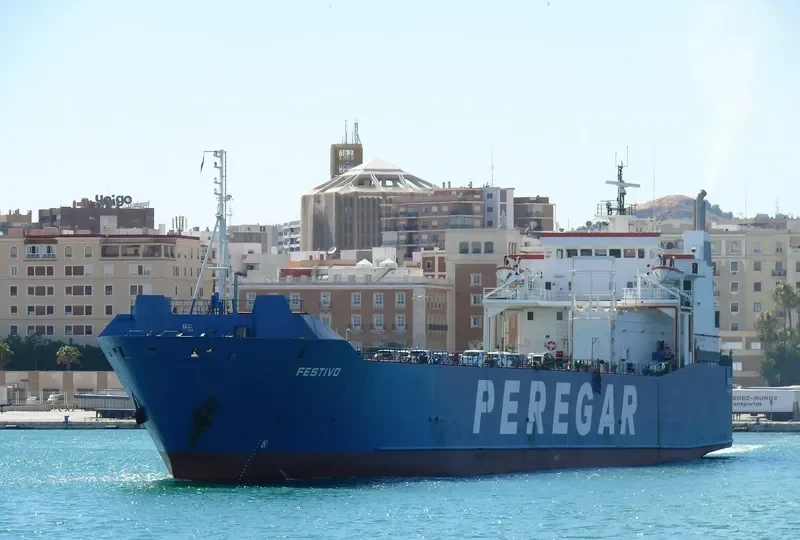 FESTIVO Ro-Ro IMO 7802067 photo 7