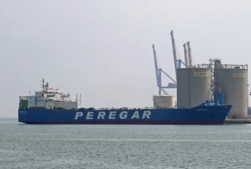FESTIVO Ro-Ro IMO 7802067 photo 9