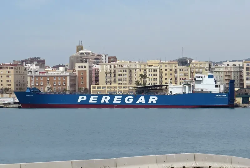 FESTIVO Ro-Ro IMO 7802067 photo 10
