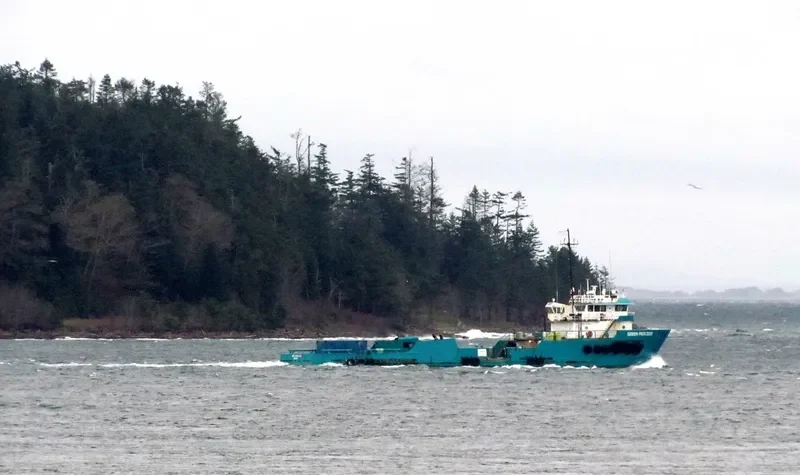 GREEN PROVIDER Offshore Vessel IMO 7802548 photo 3