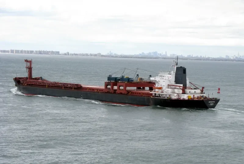 ANTWERPEN Bulk Carrier IMO 7802952 photo 3
