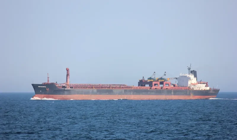 ANTWERPEN Bulk Carrier IMO 7802952 photo 6