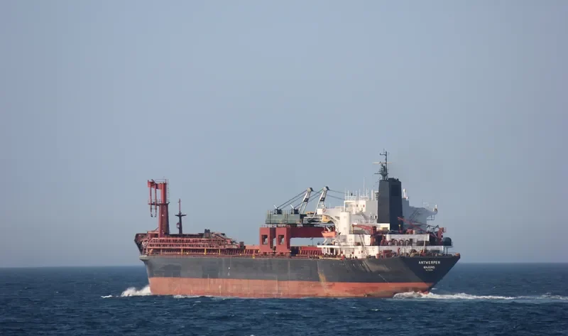 ANTWERPEN Bulk Carrier IMO 7802952 photo 9