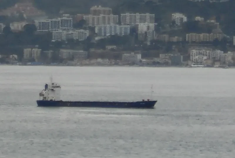 FAST CARRIER General Cargo IMO 7803487 photo 5