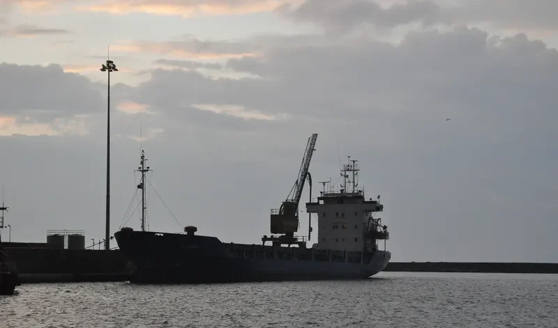 FAST CARRIER General Cargo IMO 7803487 photo 7