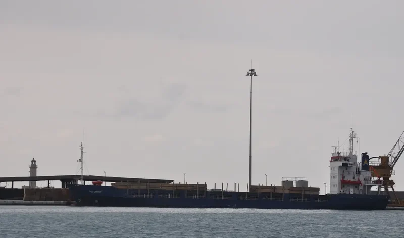 FAST CARRIER General Cargo IMO 7803487 photo 9