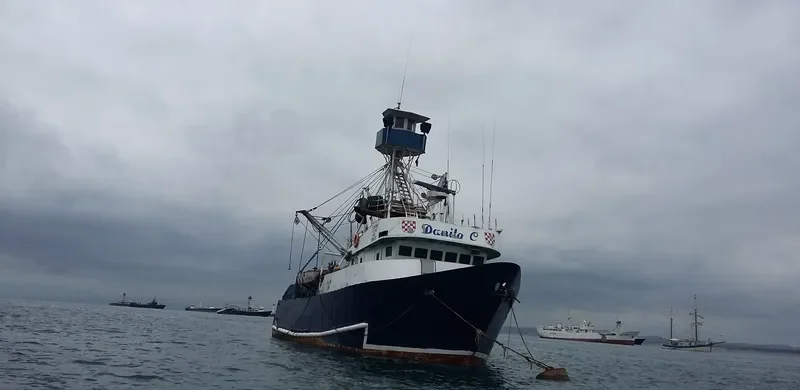 DANILO C Fishing Vessel IMO 7804273 photo 2