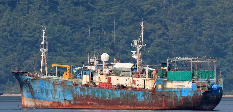 KADET 702 General Cargo IMO 7804479 photo 2