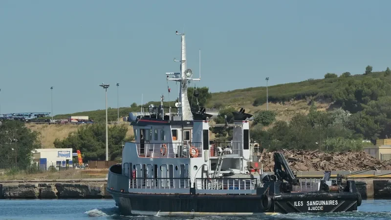 ILES SANGUINAIRES Tug Boat IMO 7804819 photo 2