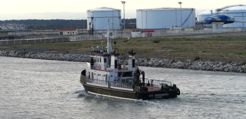 ILES SANGUINAIRES Tug Boat IMO 7804819 photo 4