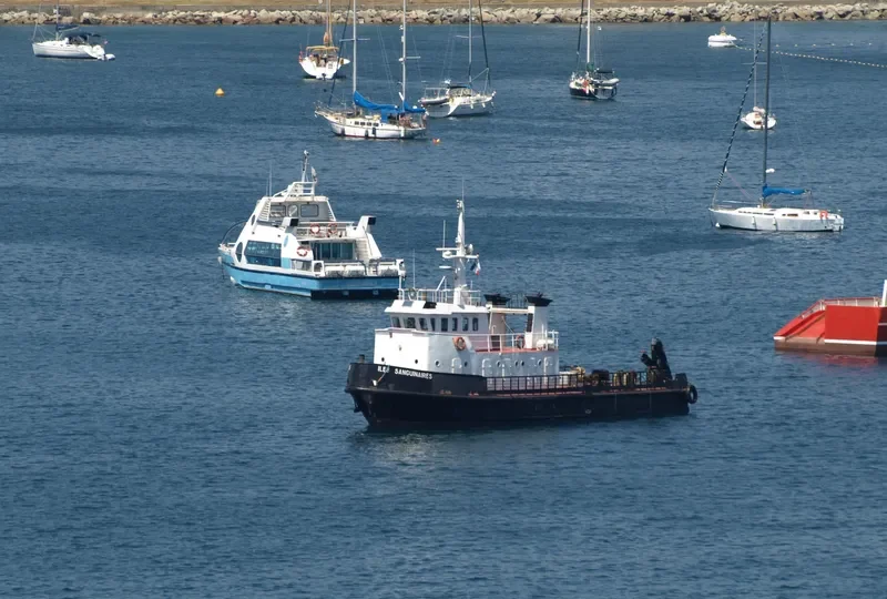 ILES SANGUINAIRES Tug Boat IMO 7804819 photo 6