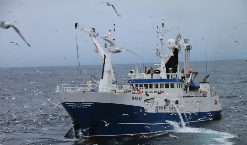 OZLEM General Cargo IMO 7805071 photo 10