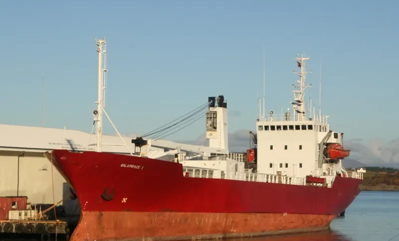 GALAPAFACE 1 General Cargo IMO 7805241 photo 3