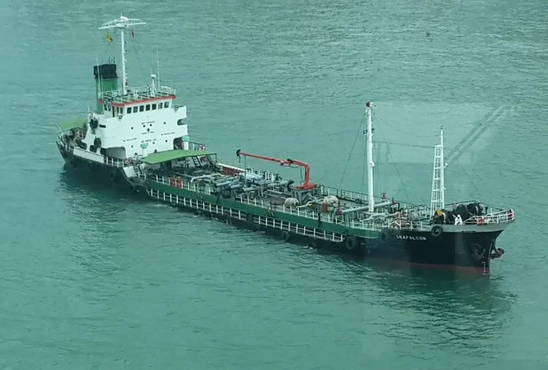 SEAFALCON General Cargo IMO 7805485 photo 3