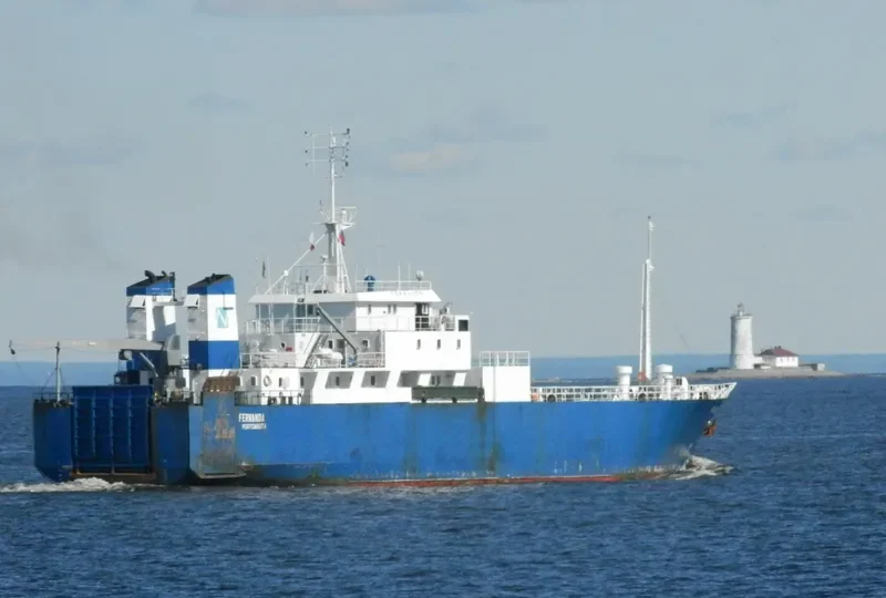 FERNANDA Ro-Ro IMO 7806025 photo 3