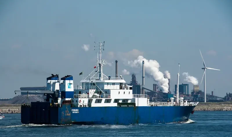 FERNANDA Ro-Ro IMO 7806025 photo 8