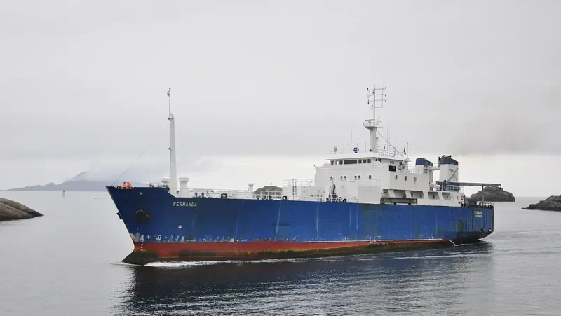 FERNANDA Ro-Ro IMO 7806025 photo 9