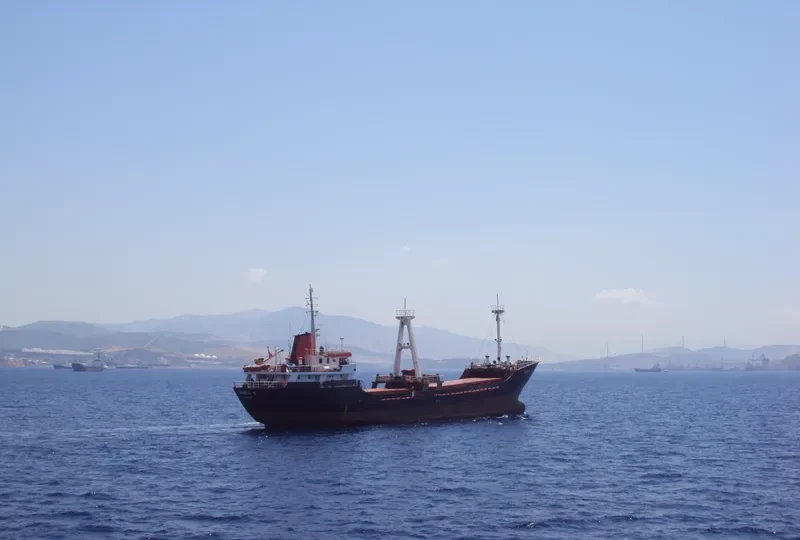 ILLARIA ROSE General Cargo IMO 7806178