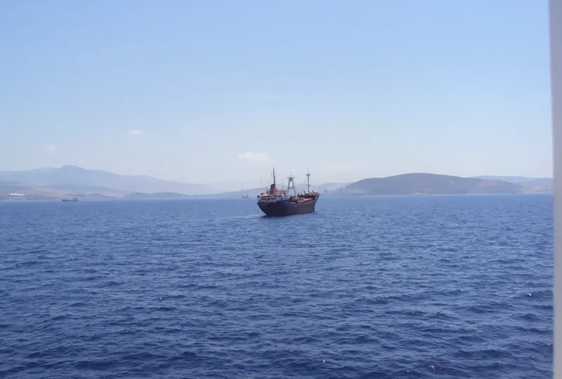 ILLARIA ROSE General Cargo IMO 7806178 photo 2