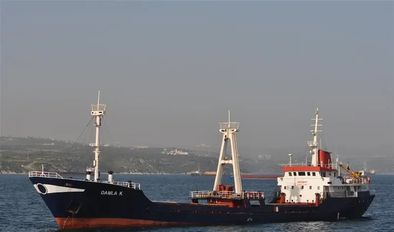 ILLARIA ROSE General Cargo IMO 7806178 photo 7
