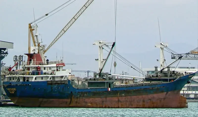 SUNSHINE General Cargo IMO 7806180 photo 2