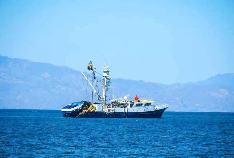 TAURUS I General Cargo IMO 7806295