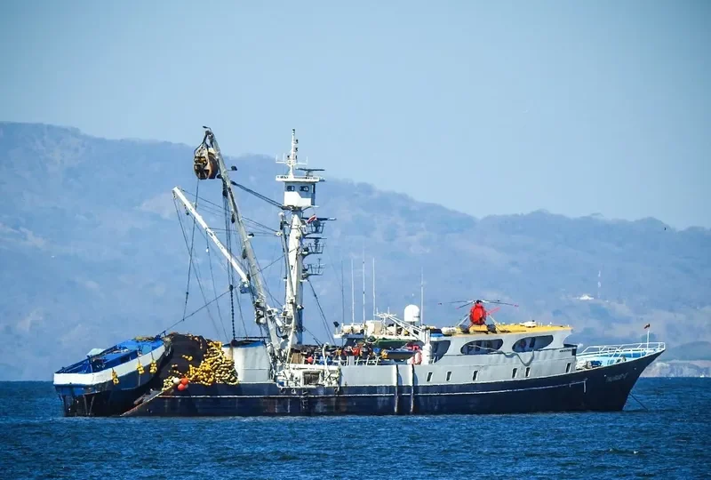 TAURUS I General Cargo IMO 7806295 photo 2