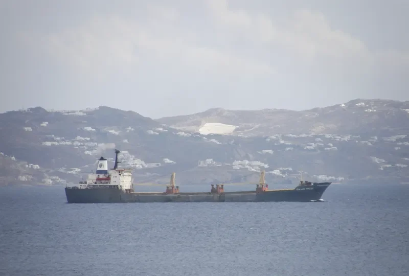 OASIS WEST Bulk Carrier IMO 7806908 photo 5