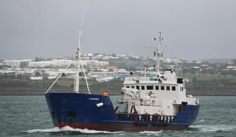ASSA General Cargo IMO 7807330 photo 6