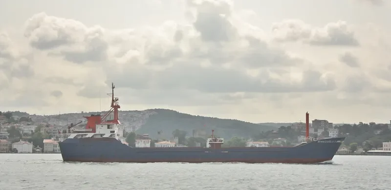 RANEKA M General Cargo IMO 7808097 photo 8