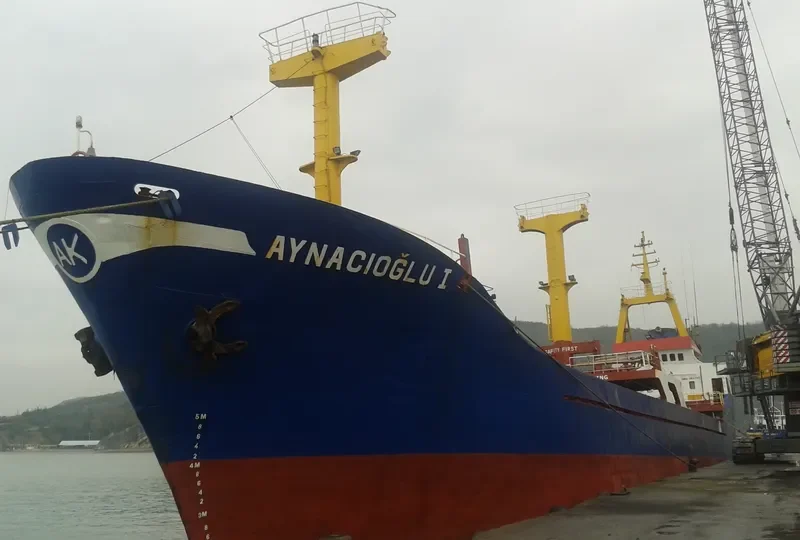 RANEKA M General Cargo IMO 7808097 photo 10