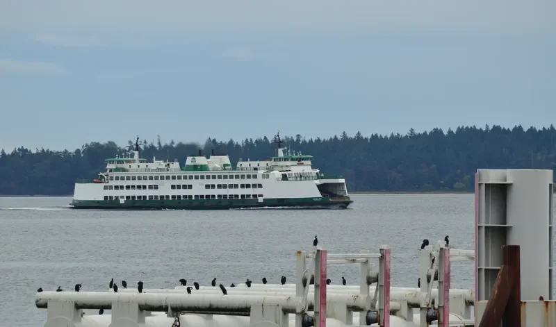 CHELAN Ro-Ro IMO 7808140 photo 5