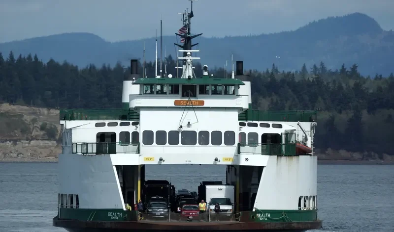 SEALTH Ro-Ro IMO 7808152 photo 3