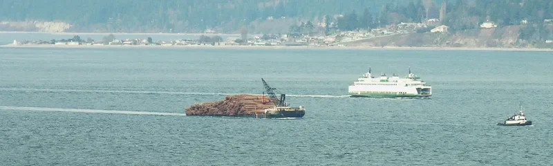 SEALTH Ro-Ro IMO 7808152 photo 10