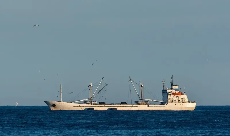 PLUTONAS General Cargo IMO 7808322 photo 3