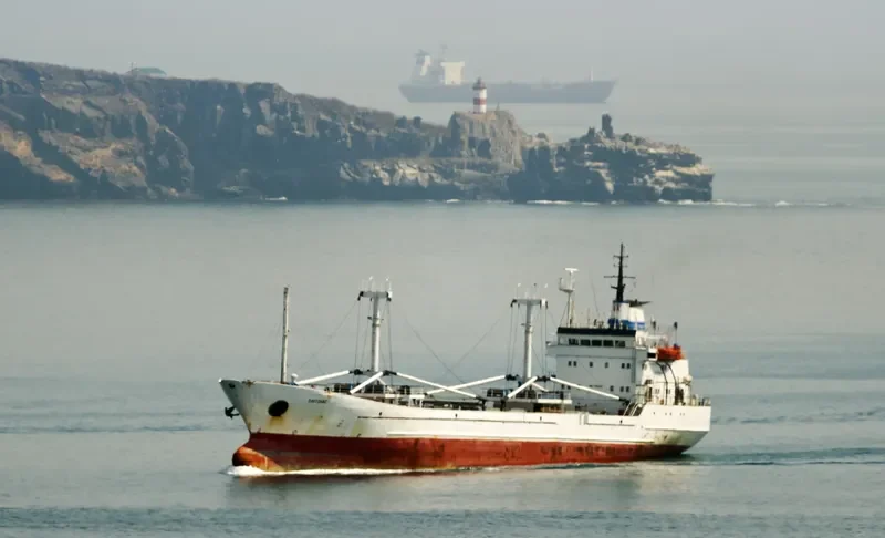 PLUTONAS General Cargo IMO 7808322 photo 7