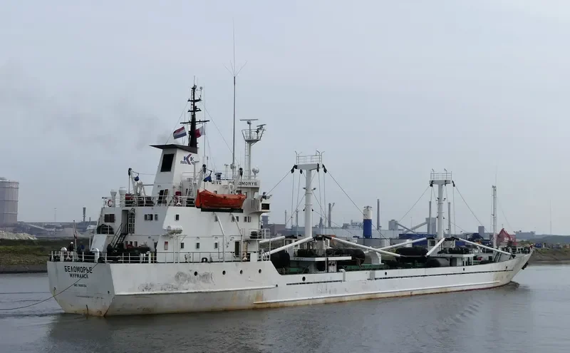 BELOMORYE General Cargo IMO 7808334
