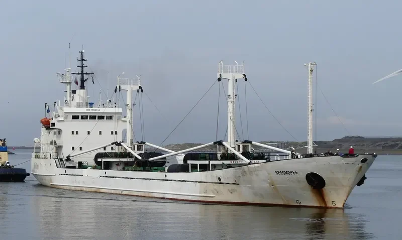 BELOMORYE General Cargo IMO 7808334 photo 2