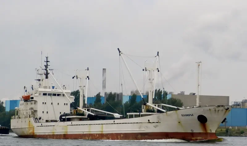 BELOMORYE General Cargo IMO 7808334 photo 8