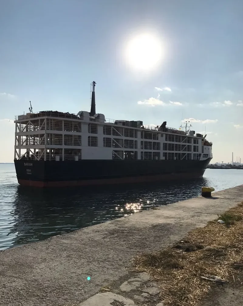 SARAH M General Cargo IMO 7808463