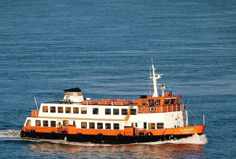 PALMELENSE Passenger Ship IMO 7808683