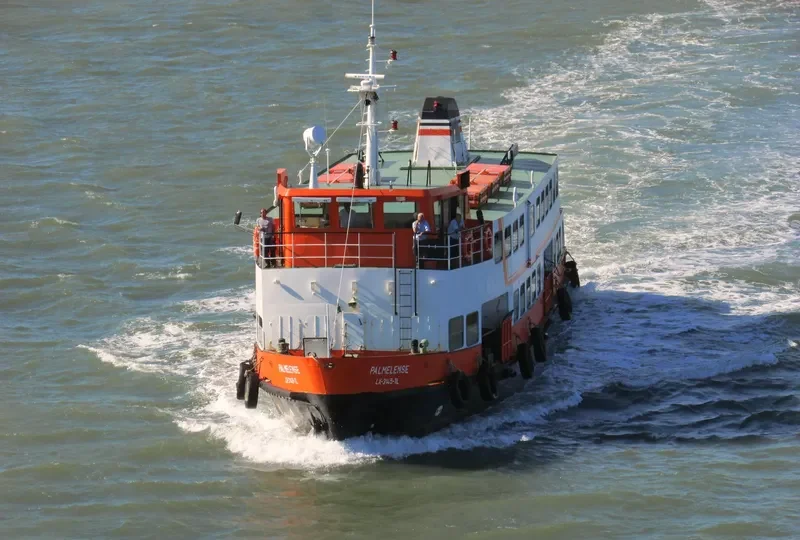 PALMELENSE Passenger Ship IMO 7808683 photo 4
