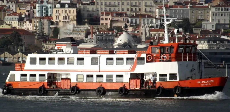 PALMELENSE Passenger Ship IMO 7808683 photo 6