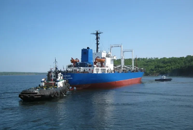 NADEZHDA General Cargo IMO 7809106 photo 10